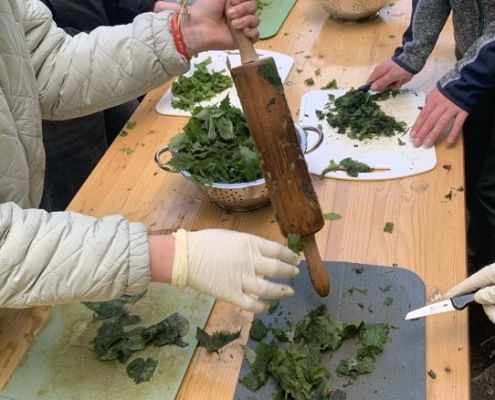 (3)Schöpfungsexkursion